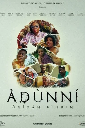 Adunni: Ogidan Binrin